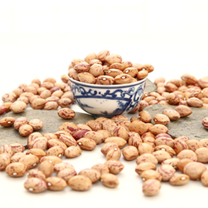 肾豆重庆黔江农家荷包豆状元豆大500g豆类杂粮花芸豆非斑马豆包邮