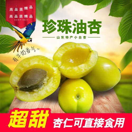 正宗山东甜小白杏现摘大果