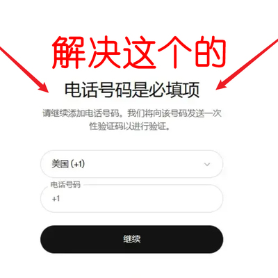 Codex验证登入登陆认证激活进入/人工指导/自动发货/一次性通过/