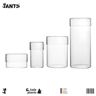 植物疗养瓶闷养微景观生态瓶迷你器皿桌面绿植容器高硼硅玻璃瓶