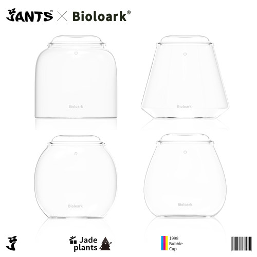 Bioloark生物方舟泡泡杯高硼硅苔藓斗鱼微景观生态瓶露集杯瓶