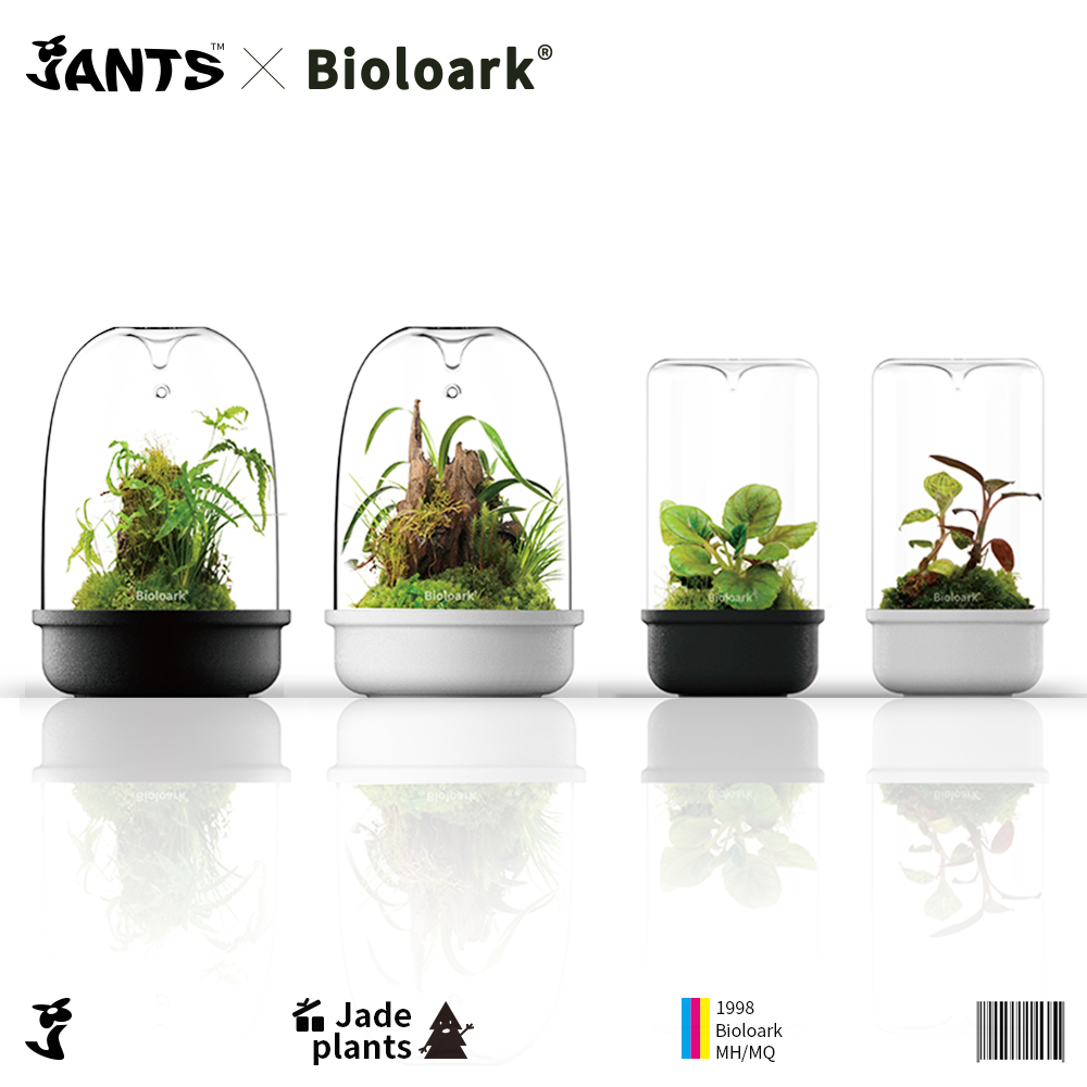 Bioloark生物方舟微景观生态瓶DIY露集杯陶瓷底桌面摆件苔藓闷养