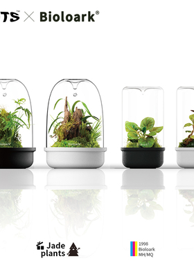 Bioloark生物方舟微景观生态瓶DIY露集杯陶瓷底桌面摆件苔藓闷养