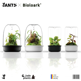 Bioloark生物方舟微景观生态瓶DIY露集杯陶瓷底桌面摆件苔藓闷养