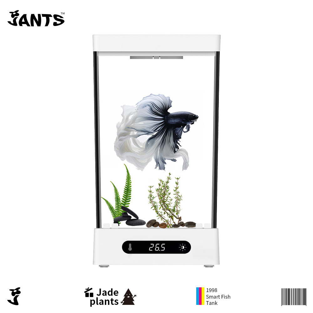 新品智能鱼缸App控制超白亚克力耐摔自动控温一体专业斗鱼观赏鱼