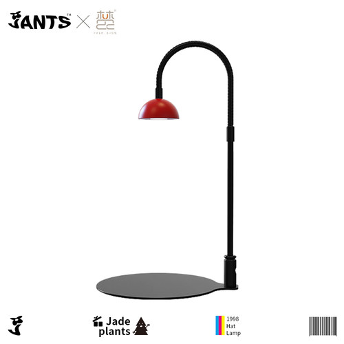 小红帽微景观灯LED生态瓶造景苔藓鱼缸水族全光谱蕨类补光植物灯