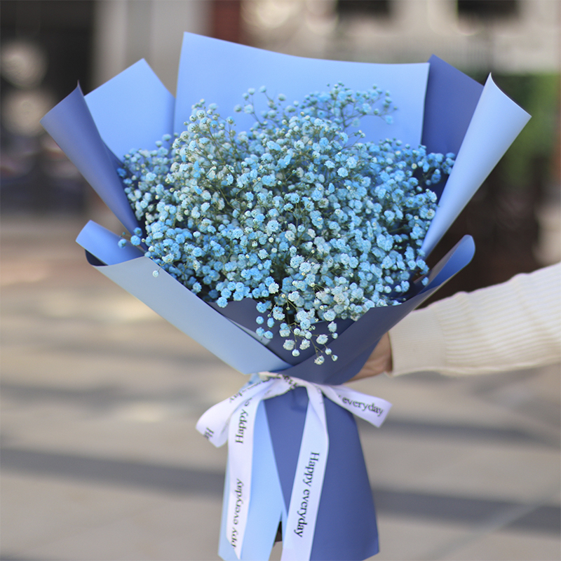 满天星干花真花花束永生花送灯毕业拍照礼品送男女友闺蜜生日礼物