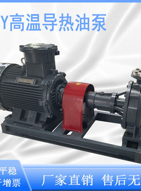 高温导热油泵RY25-25-160/RY32-32-160/RY40-25-160/50-32-160