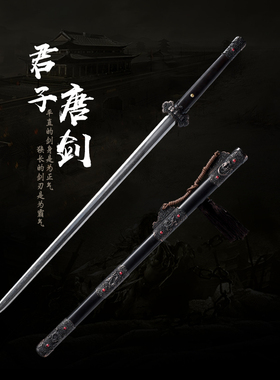 龙泉唐剑手工一体刀剑花纹钢八面汉剑收藏刀具镇宅宝剑硬剑未开刃