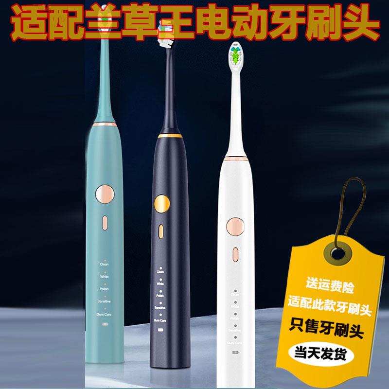 适配新款兰草王声波电动牙刷头H6 Plus清洁型杜邦刷毛替换头