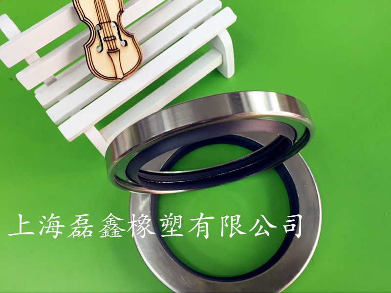 不锈钢外铁壳双唇油封PTFE54X73X10
