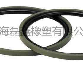 STD格来圈GSF360*335.5*8.1(O型圈在内) 活塞组合油封PG孔用