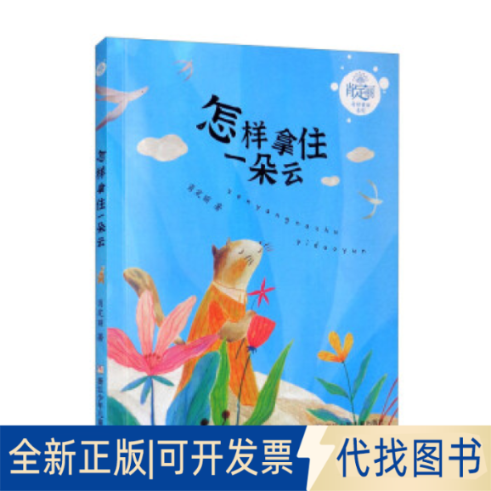 正版全新肖定丽奇妙童话系列：怎样拿住一朵云9787559728272肖定丽|责编:赵坤浙江少年儿童出版社2022-06-01