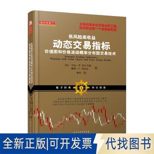正版全新低风险高收益动态交易指标:价值图和价格波动概率分布图交易技术(美国估值技术分析市场应对短线中长线操作)
