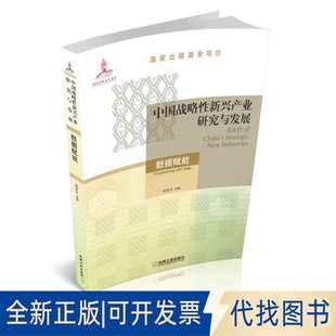 正版全新中国战略新兴产业研究与发展:数据赋能:Empowering with date9787111686415郑爱军机械工业出版社2019-06-01