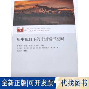 正版全新历史视野下的城市空间9787542671233斯蒂芬·萨姆（Steven J. Salm）托因·法洛拉（Toyin Falola）主编上海三联书店