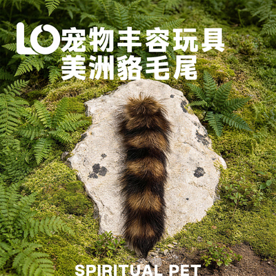 灵气兽美洲貉真毛尾巴水貂毛逗猫棒丰容玩具带浣熊毛猫咪自嗨耐咬