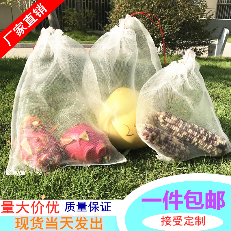 包邮尼龙网袋种子袋瓜果防虫防鸟育种浸种袋葡萄水果袋火龙果套袋