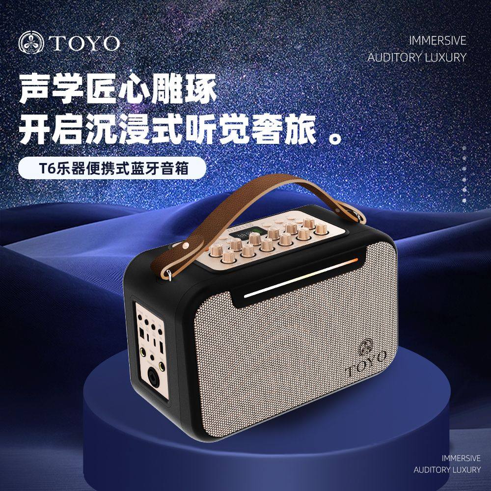 TOYO s6T6多功能电吹管专用音箱户外直播蓝牙乐器便携高音质