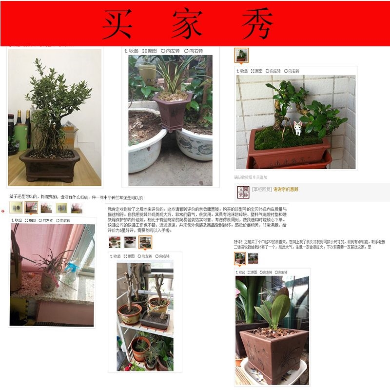 宜兴立闻精品紫砂花盆君子兰花兰草菖蒲文竹专用盆促销包邮-封面