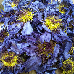 埃及睡莲花烘干 蓝莲花干花整朵 blue lotus flowers养生花茶200g