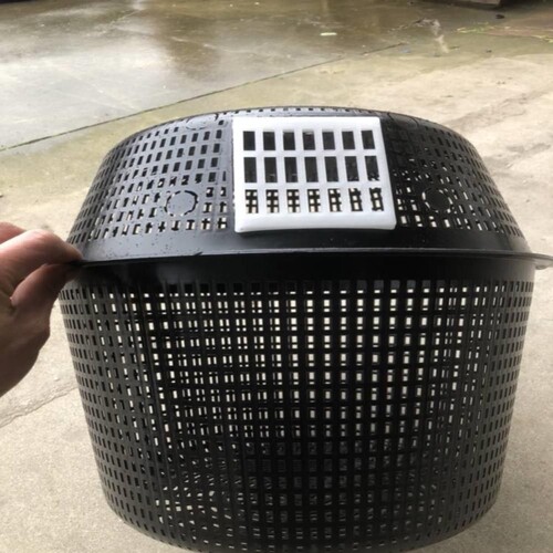 新款防逃王笼黄脚控王王片囚王七里放养树控笼野化防上马胡蜂王笼