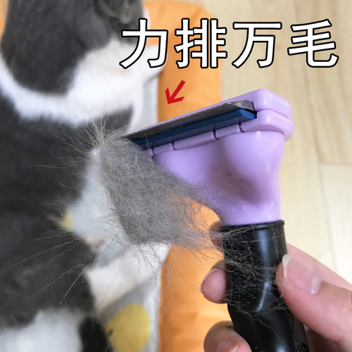 专属宠物柯基开洁梳毛刷