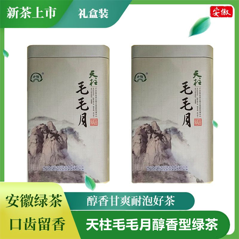 绿茶2024新茶叶天柱山毛毛月礼盒装500g安徽安庆潜山彭河炒青茗茶