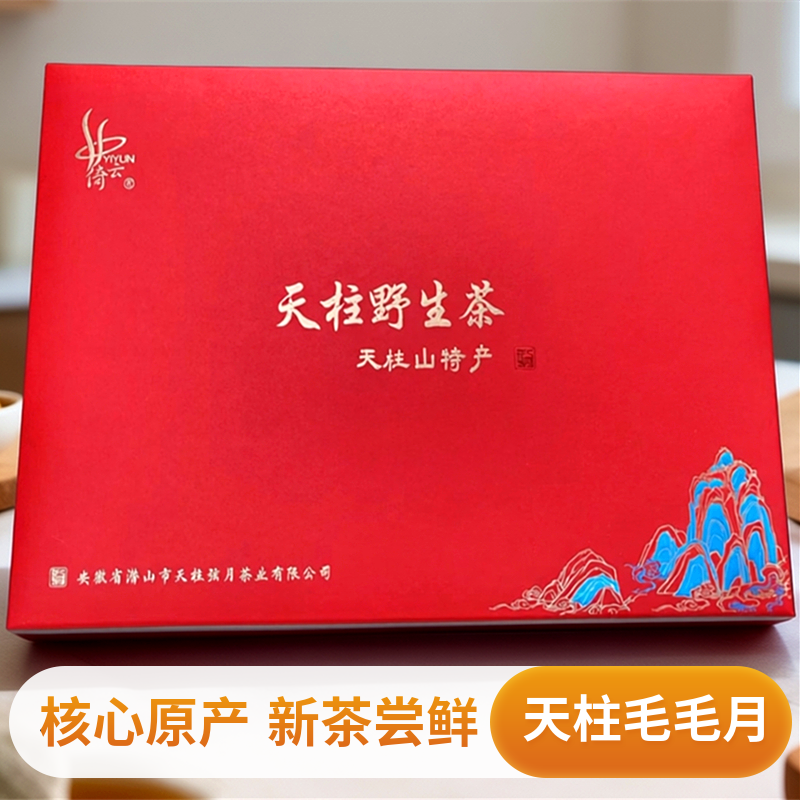 绿茶2026新茶天柱山毛毛月明前茶叶500g安徽安庆潜山炒青彭河茗茶