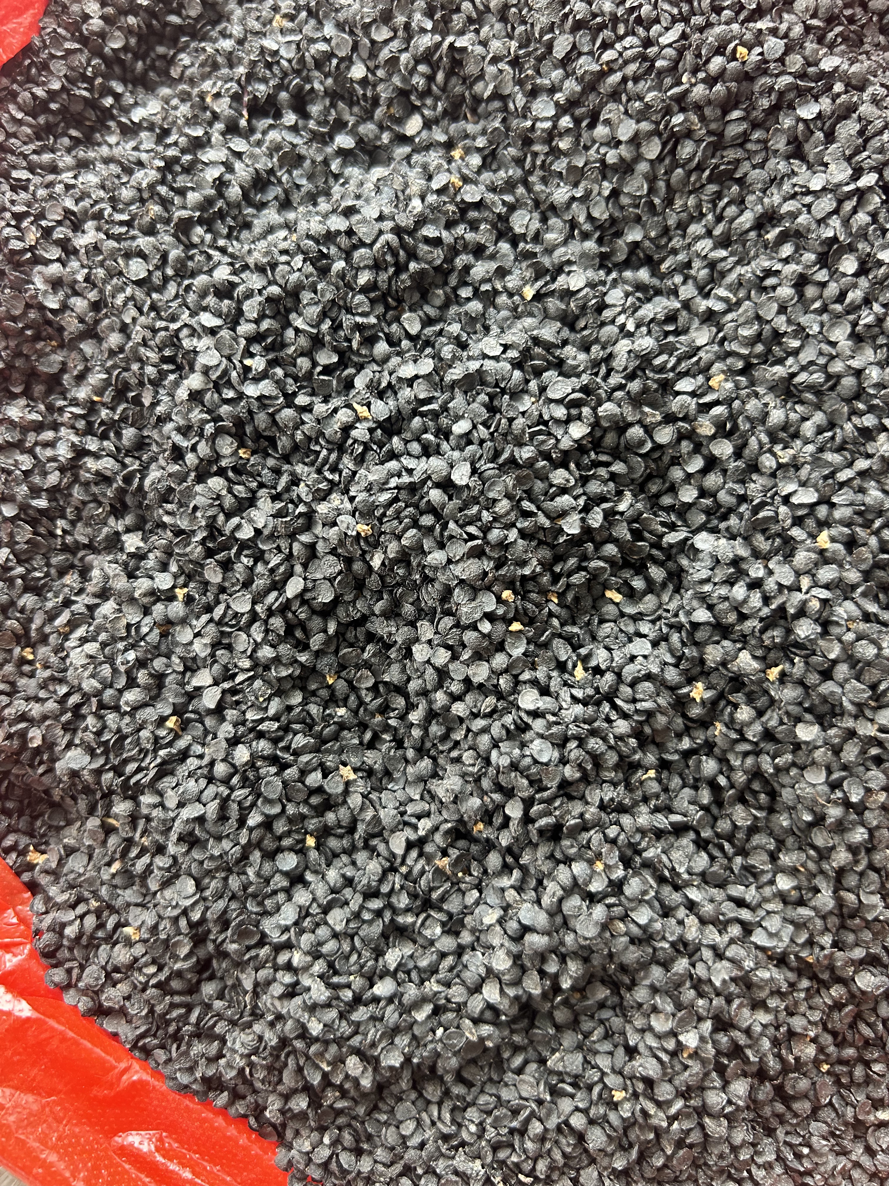 中药材韭菜籽