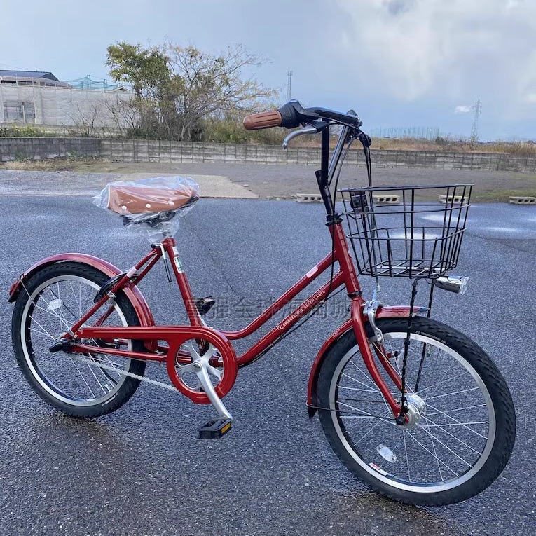 普利司通不锈钢防锈链紧凑自行车