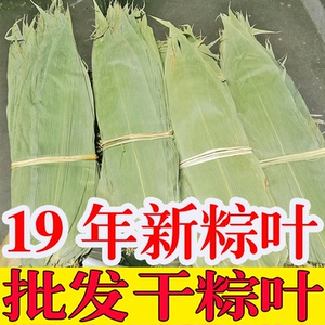 粽叶拍五份免邮端午节新鲜烘干粽叶纯天然野生干粽子叶大粽叶若叶