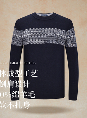 PSM 冬季亲肤柔软绵羊毛男士羊毛衫85878441A119