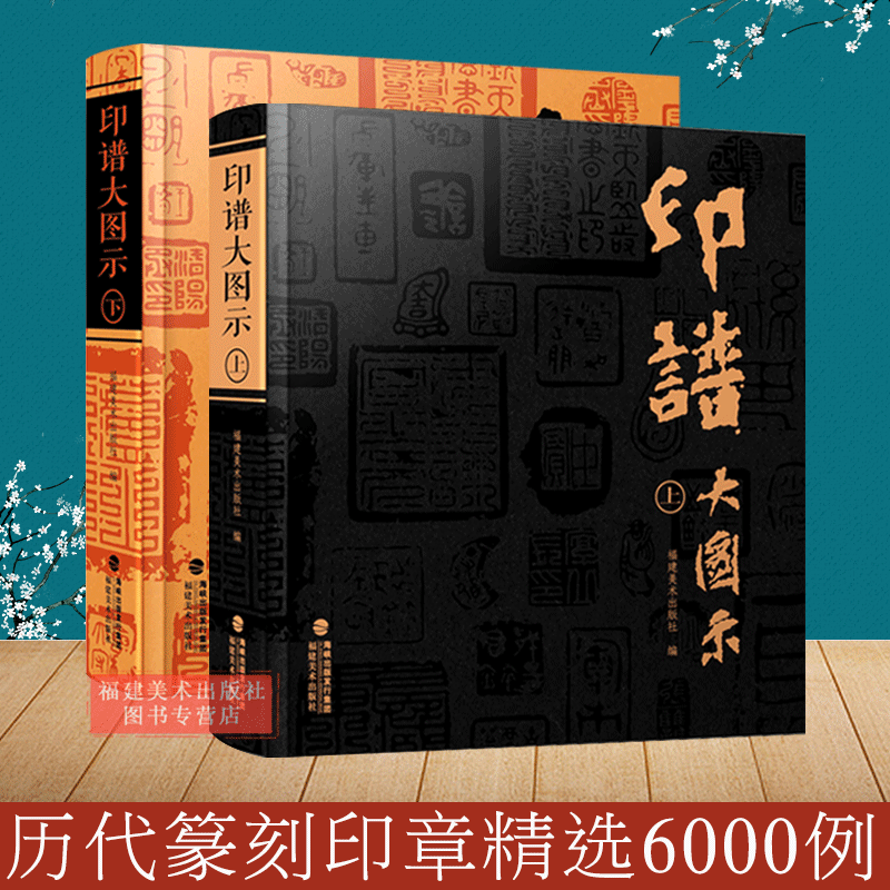 印谱大图示上下2册 篆刻印谱工具字典书6000余方古今印谱 汉官印/汉私印/道家/火烙/鸟虫书印 印章篆刻临摹工具参考书印谱篆刻收藏