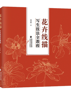 花卉线描写生技法全教程
