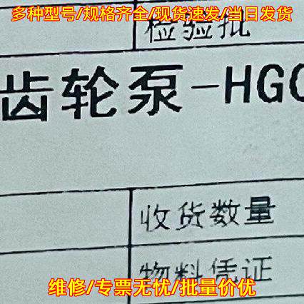 HG00-13-10-01R-VPC 内啮合齿轮泵 海特克油泵议价维修