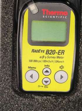 议价Thermo赛默飞RadEye B20 B20-ER多用途巡维修