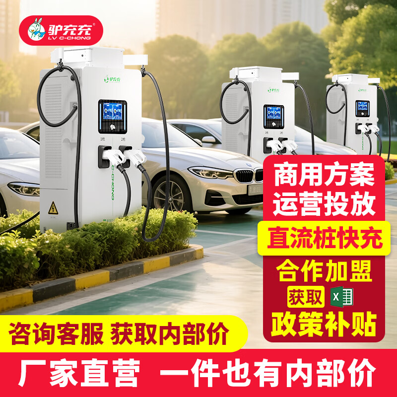 驴充充新能源快充充电桩商用380v直流快充充电桩60kw120kw160kw