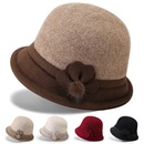 中老年人帽子女秋冬季 妈妈加厚保暖盆帽春秋老人奶奶老太太渔夫帽