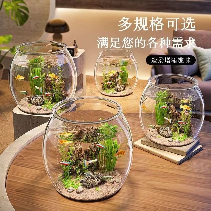 鱼缸小型家用加厚塑料仿玻璃桌面客厅水培植物和鱼共养生态缸