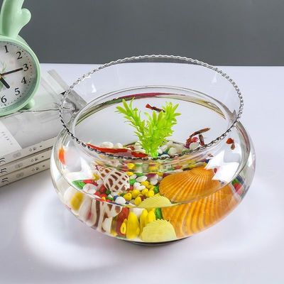 创意透明玻璃鱼缸水培器皿花边金鱼水培植物和鱼共养生态缸