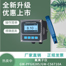 PFG8285 在线离子计氟离子含氟废水污染源排放口监测GW CS6710A