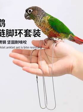 鹦鹉不锈钢脚链脚环脚虎皮玄凤小太阳外出牵引绳遛鸟