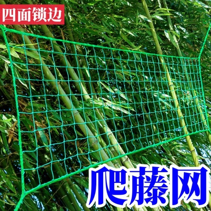 植物百香果爬藤网攀爬网瓜蒌葡萄丝瓜吊瓜豆角网黄瓜种植网搭架网