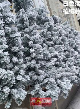 圣诞节装饰落雪藤条2米7白色植绒藤条加密圣诞树松枝绿色喷白藤条