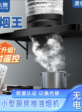 简易抽油烟机排气扇排风扇厨房家