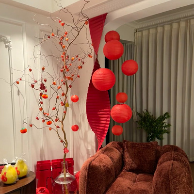 【一物一拍】金灯树 | 金龙柳酸浆果鲜枝水培植室内大型好养绿植