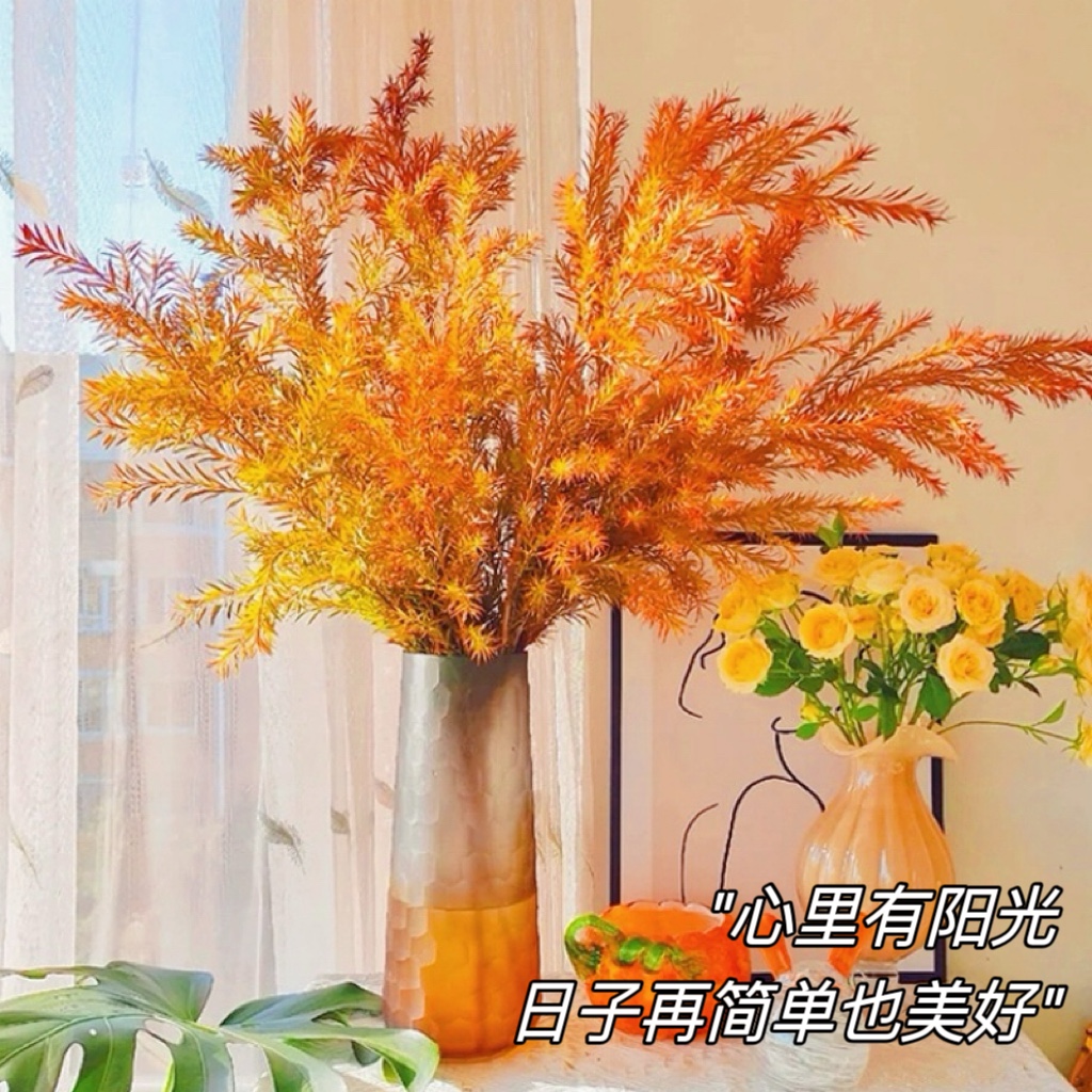 千层金鲜切枝鲜花水培植物