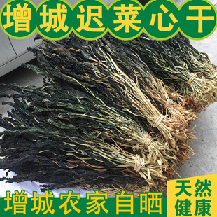增城迟菜心干 迟菜心晒干 迟菜心干 菜心干迟菜心叶子晒干包邮1斤