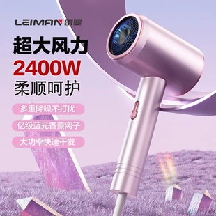 Leiman雷曼大功率家用发廊速干吹离子冷热宿舍电吹风筒风机蓝光